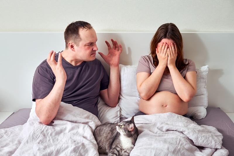 Man and woman arguing in bed with cat in between