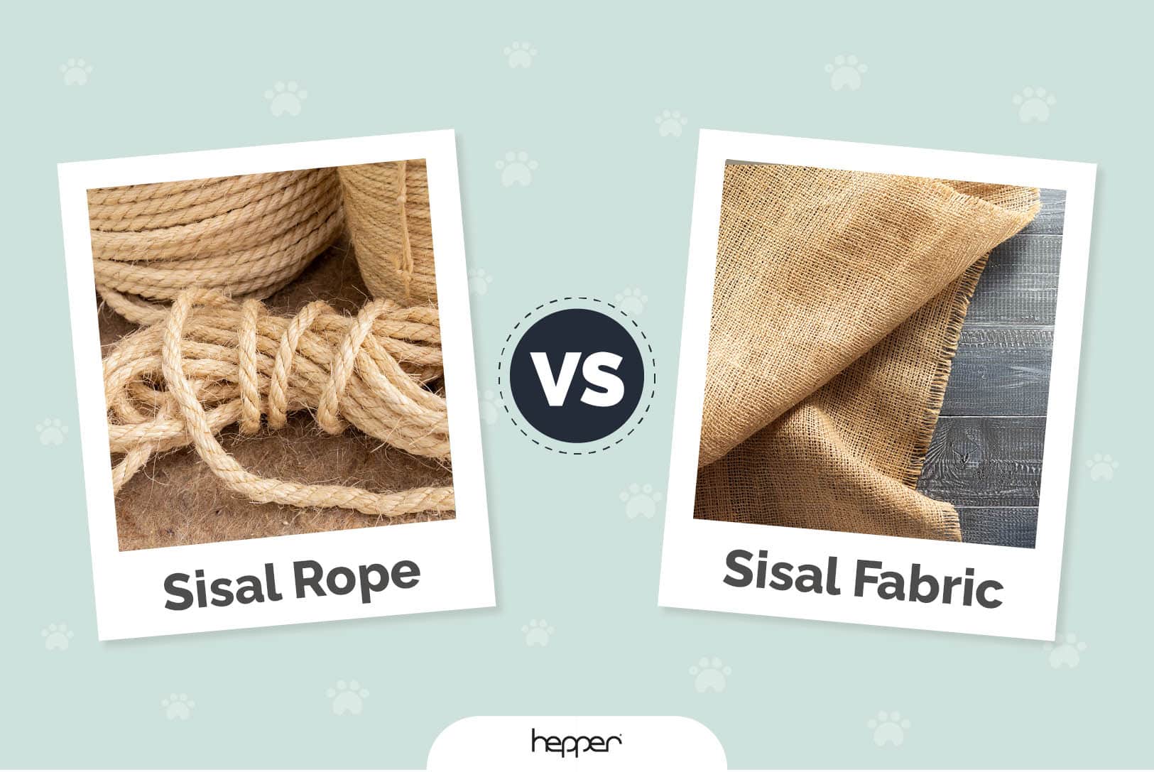 Sisal Rope vs. Sisal Fabric for Cat Scratching Posts Is There a