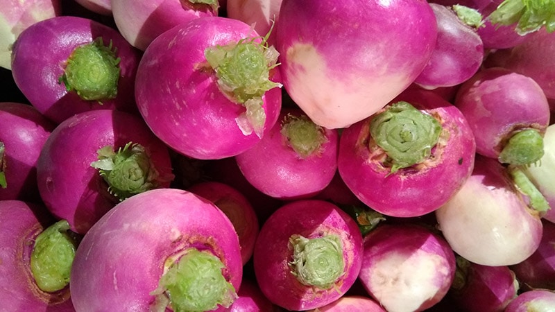 a stack of turnips