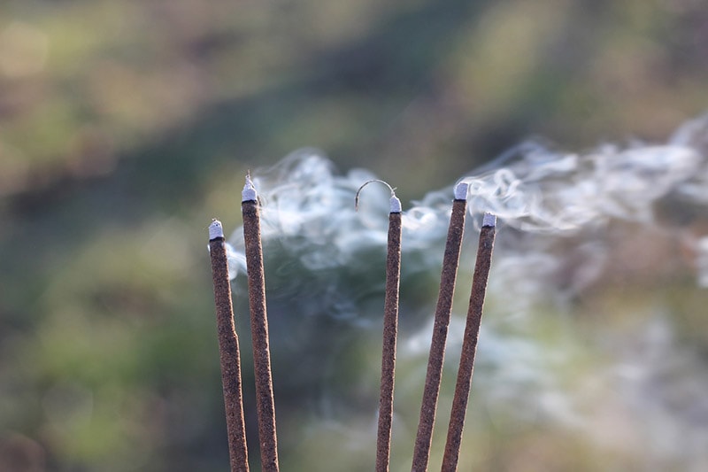 Des encens qui brûlent