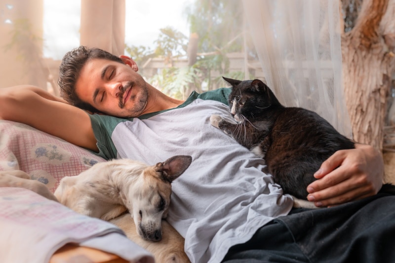 man sleeping with his pets