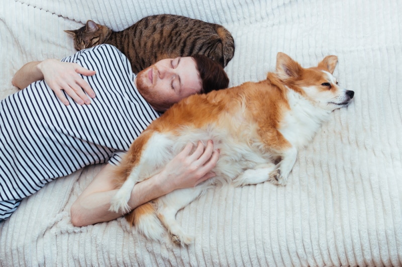 man sleeping with his pets