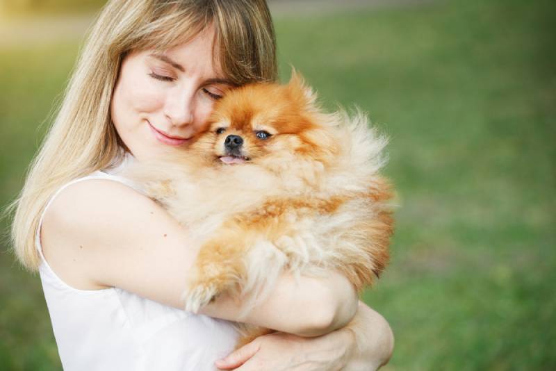 owner cuddling and hugging her pet pomeranian dog