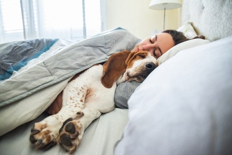 pet owner sleeping with dog on her bed