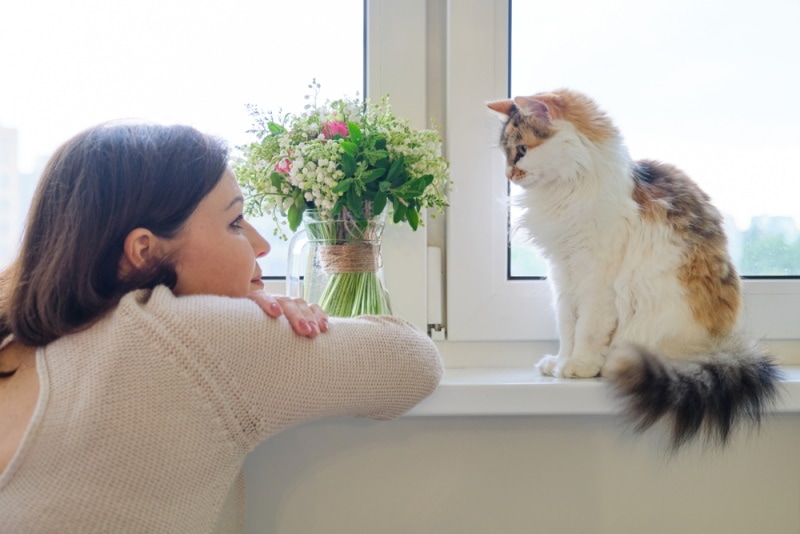 người phụ nữ đang xem và nói chuyện với con mèo của mình