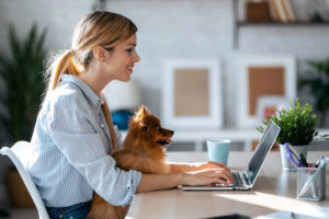woman working with her dog at a pet-friendly workplace