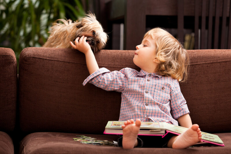 A two year old child sitting on the sofa with a book in his lap feeding his havanese dog