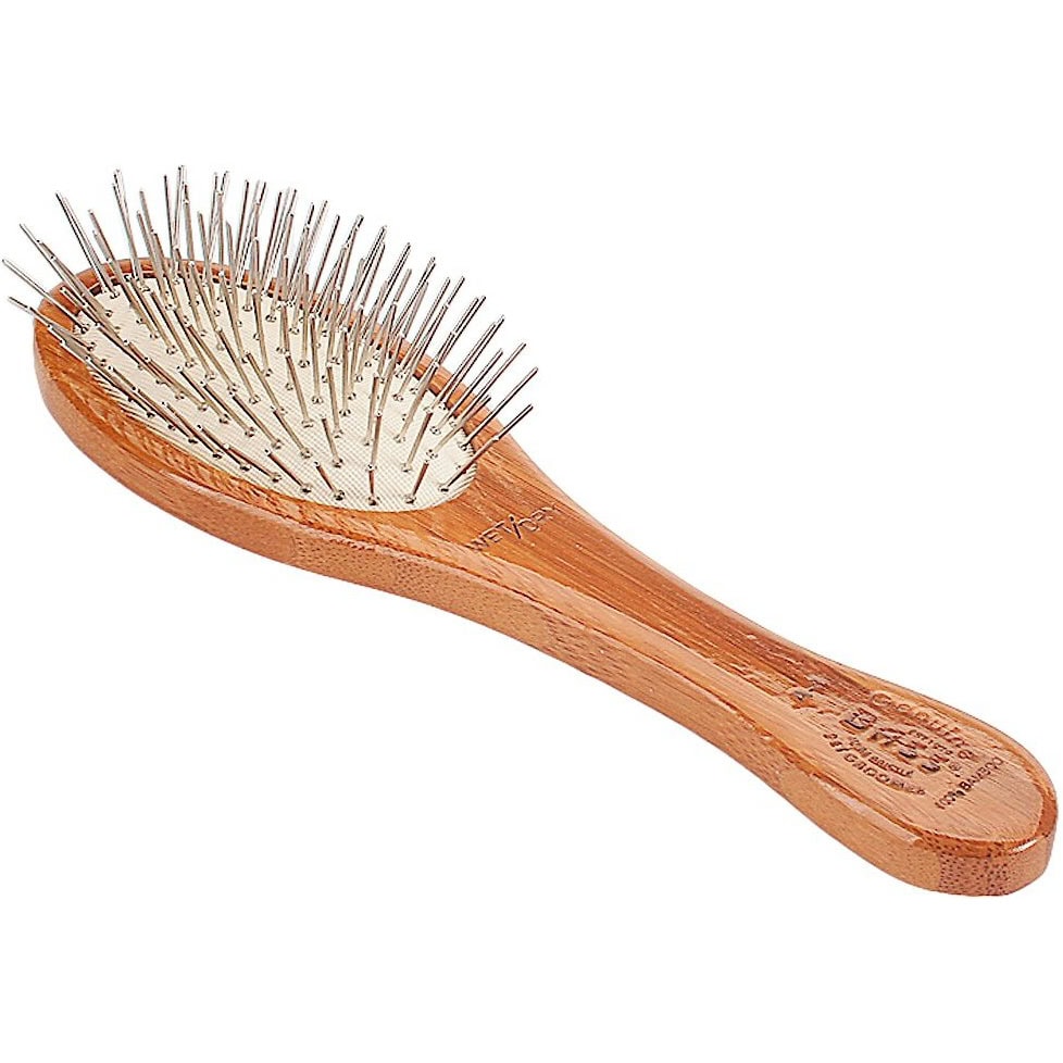 10 Best Brushes for Havanese 2024 Reviews & Top Picks Hepper