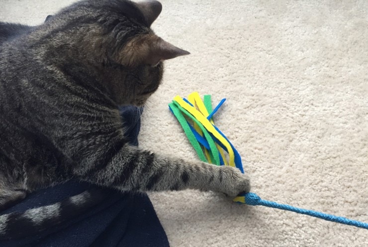 DIY felt cat wand