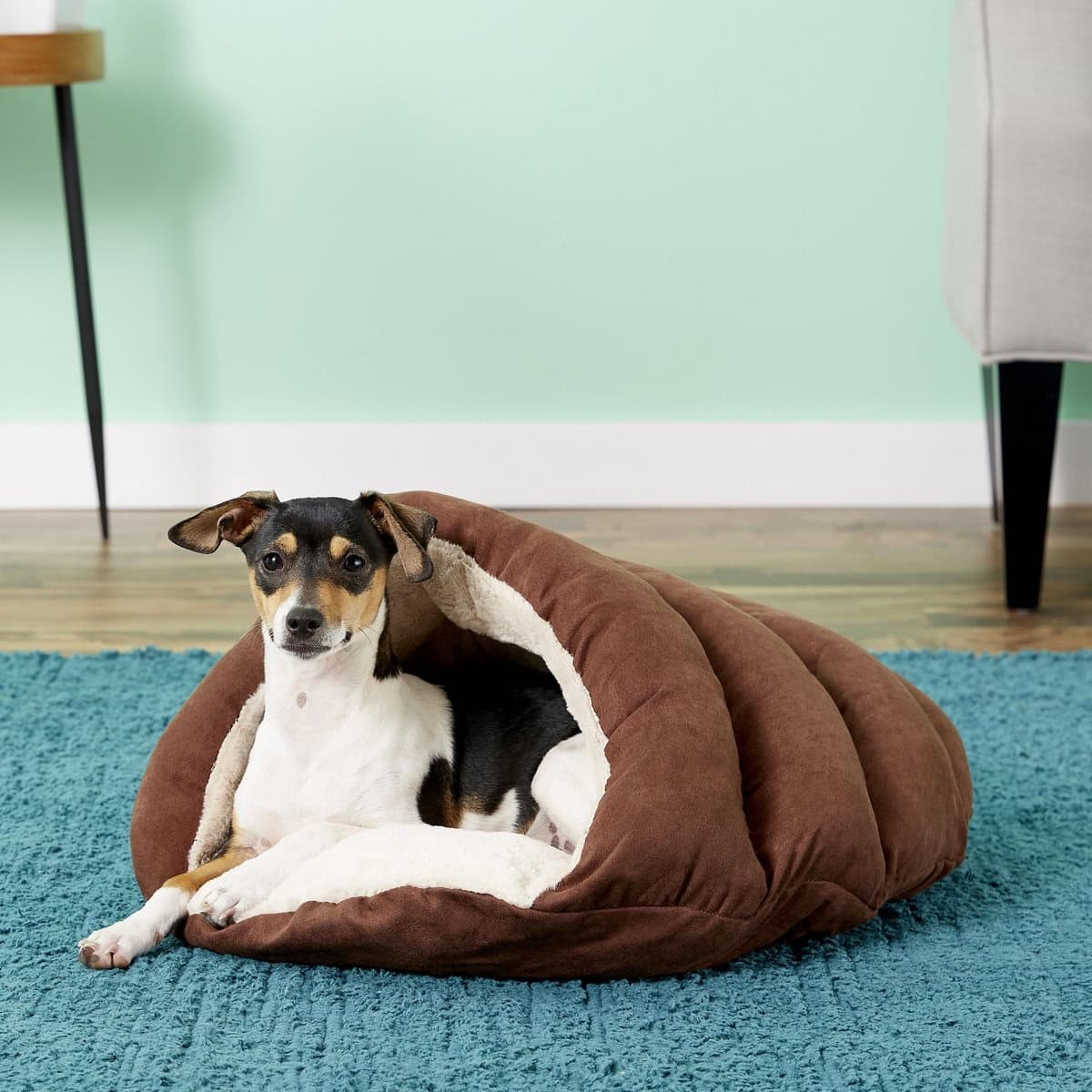 Ethical Pet Sleep Zone Cuddle Cave Cat & Dog Bed