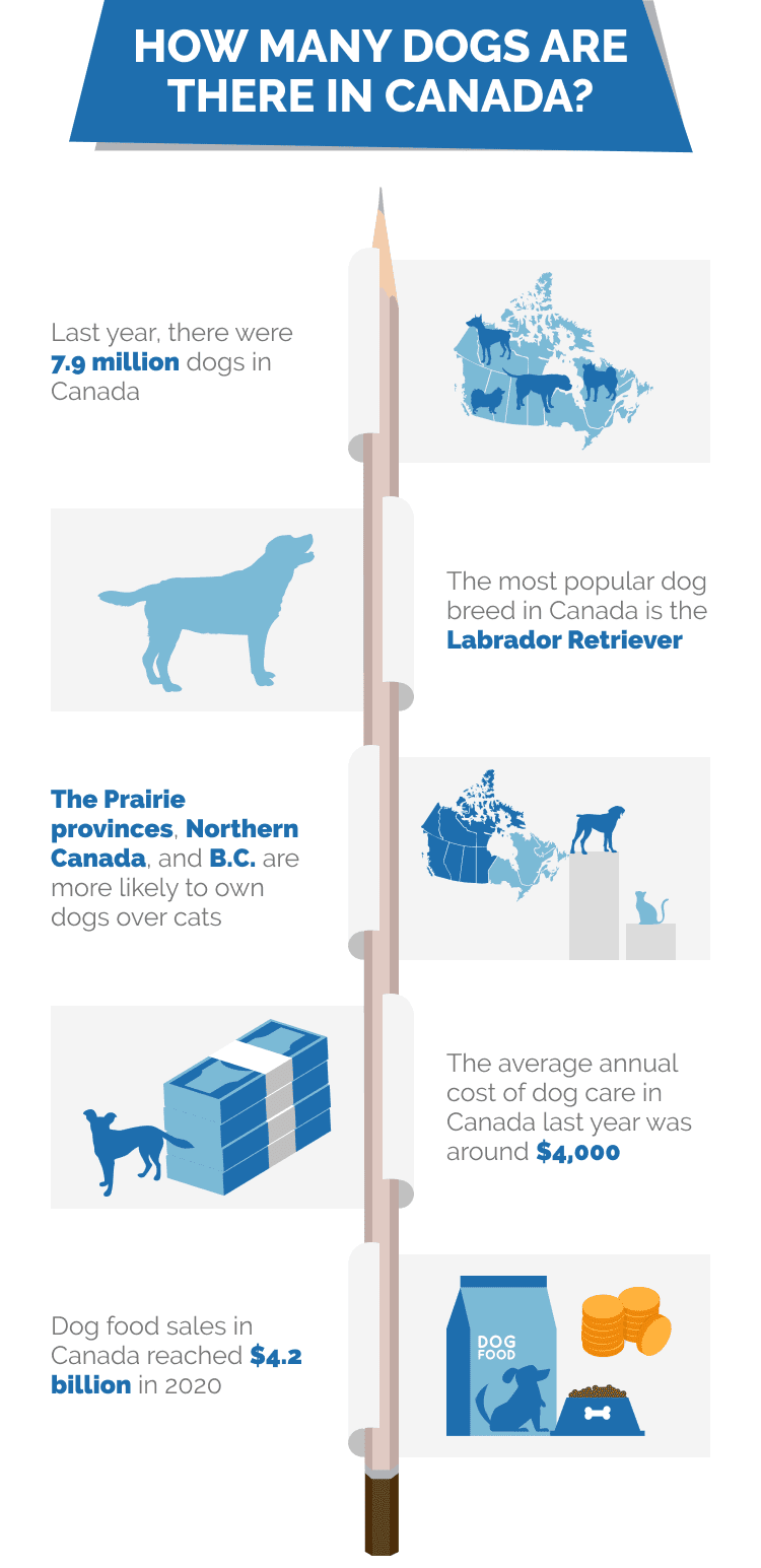 HOW_MANY_DOGS_ARE_THERE_IN_CANADA_