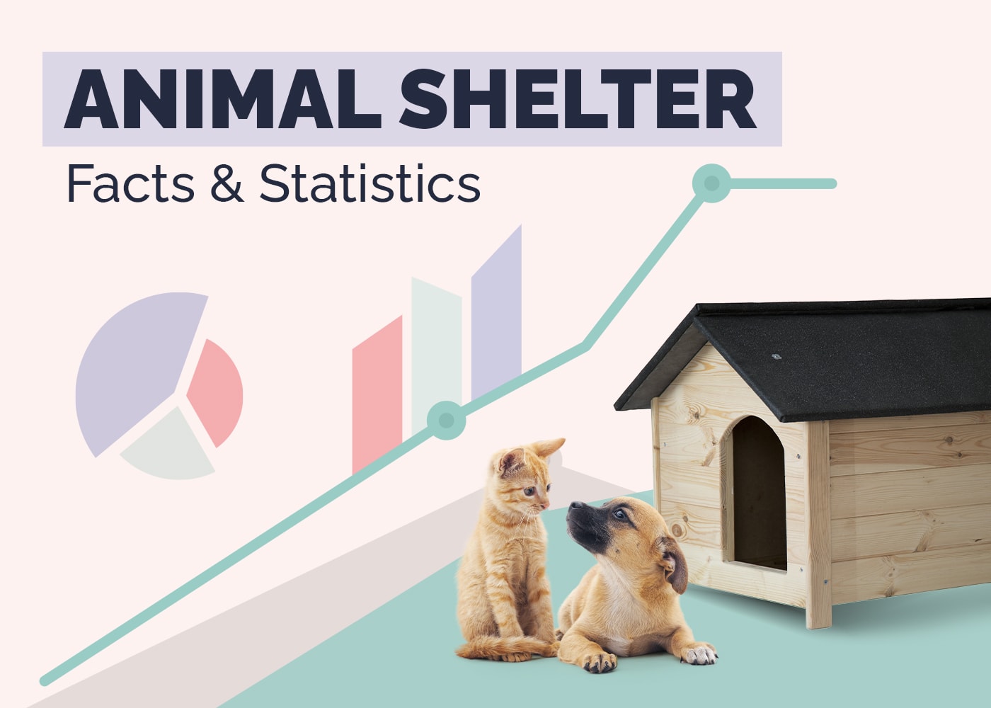 Animal Shelter Statistics