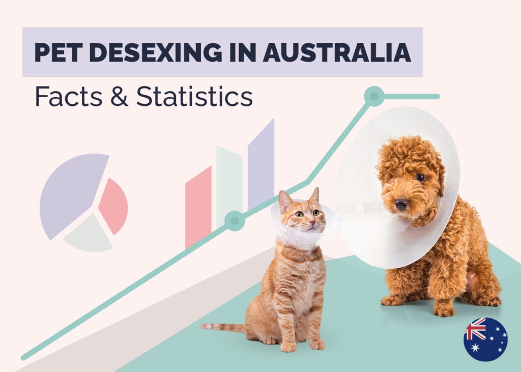 How Many Cats and Dogs are Spayed & Neutered in Australia? 10