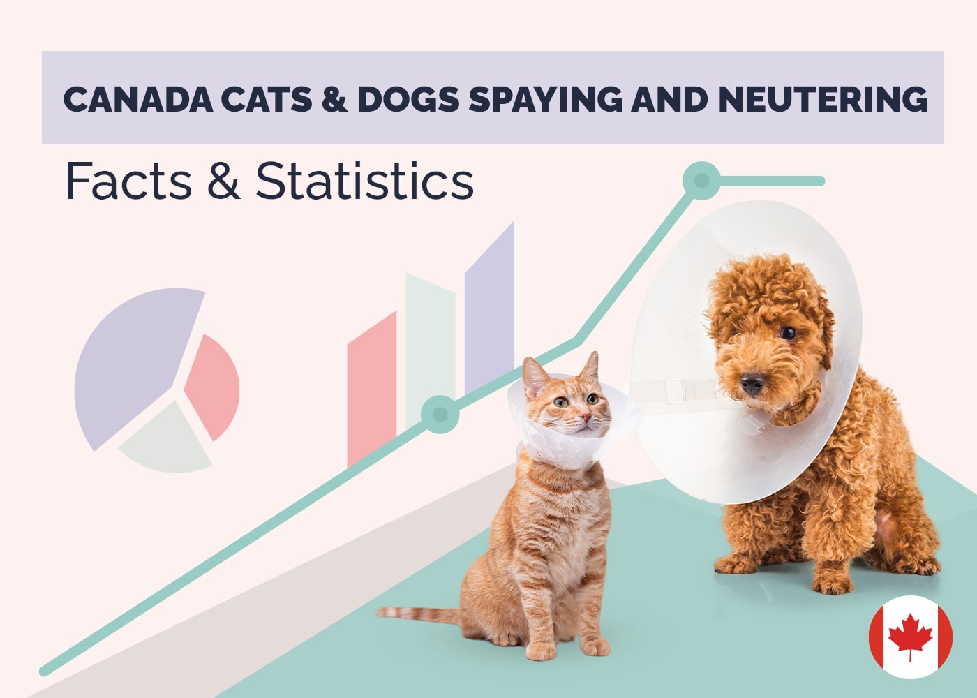 How Many Cats & Dogs are Spayed & Neutered in Canada? 9 Statistics
