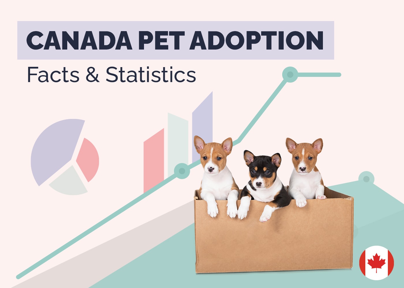 Canada Pet Adoption Facts & Statistics