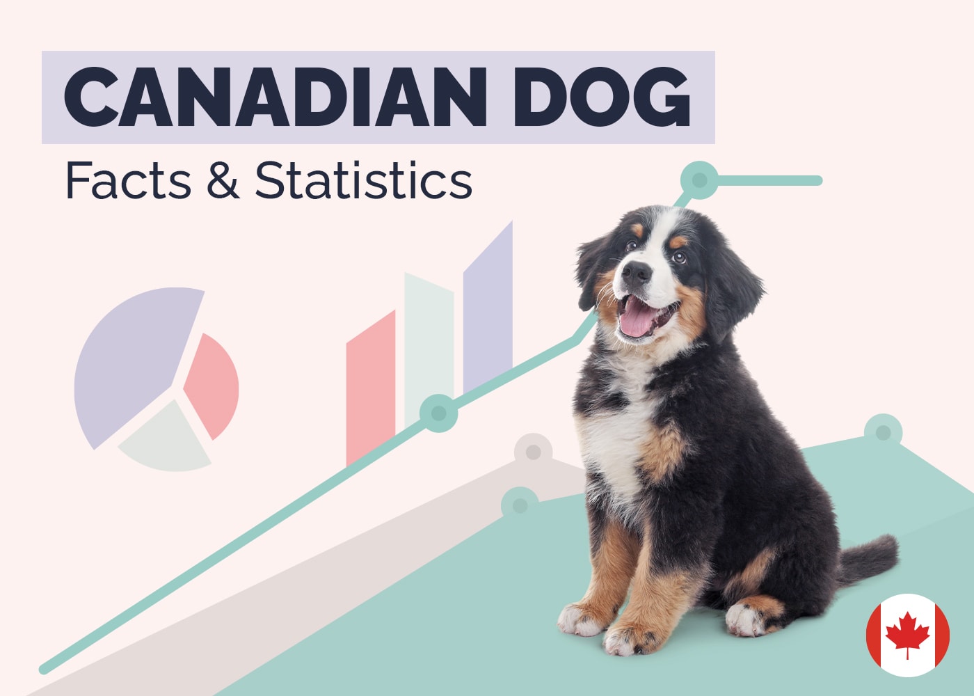 Canadian Dog Facts and Statistics