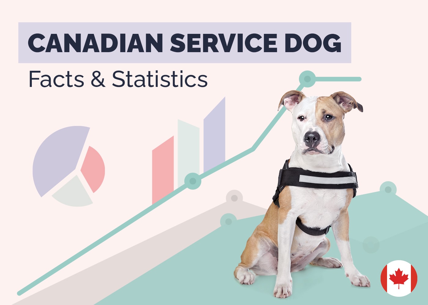 Canadian Service Dog Facts & Statistics