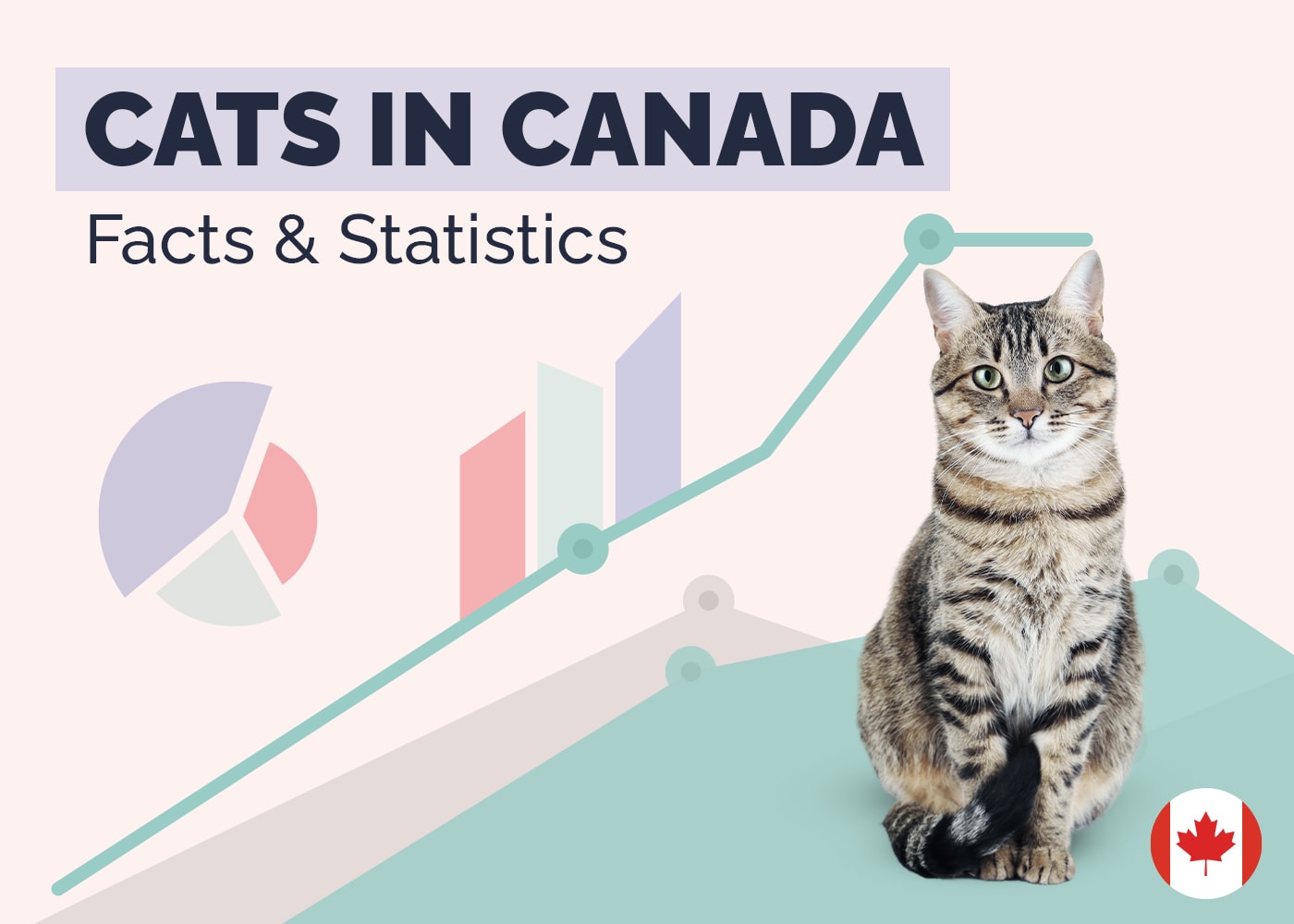 Cats in Canada Facts and Statistics
