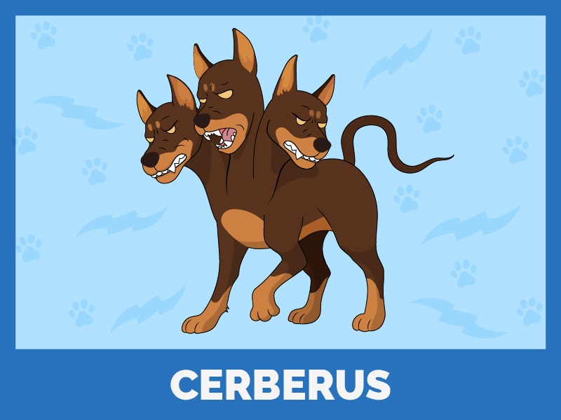 Cerberus