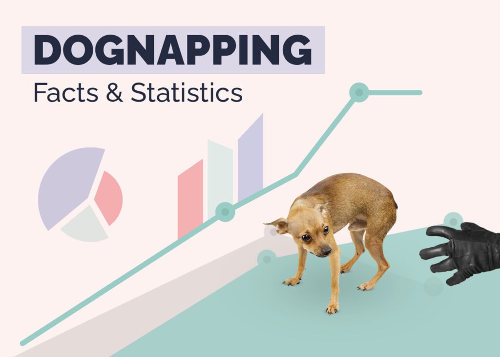 Dognapping Facts & Statistics