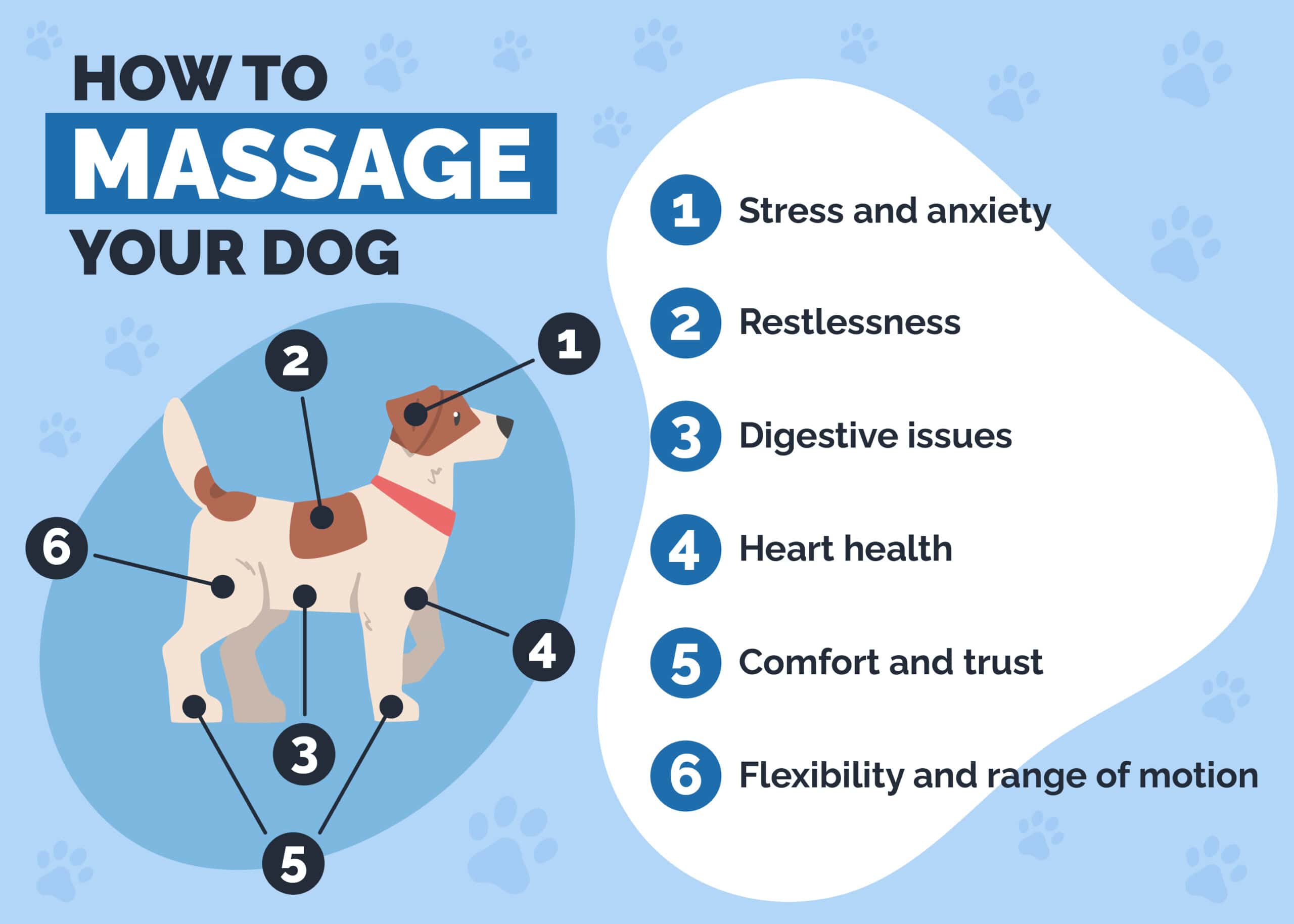 How to massage a dog with artritis