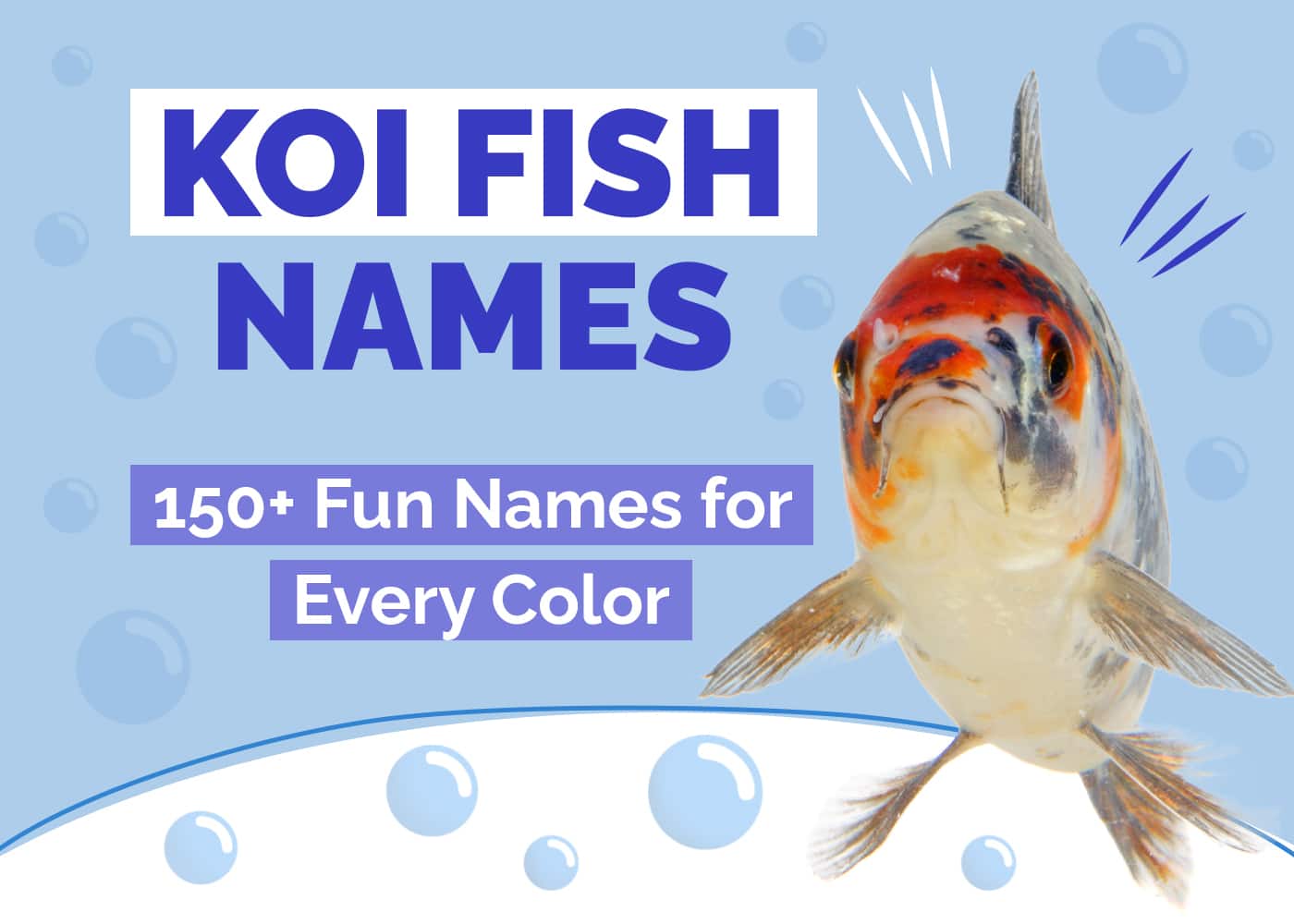 Fishes Pictures With Names