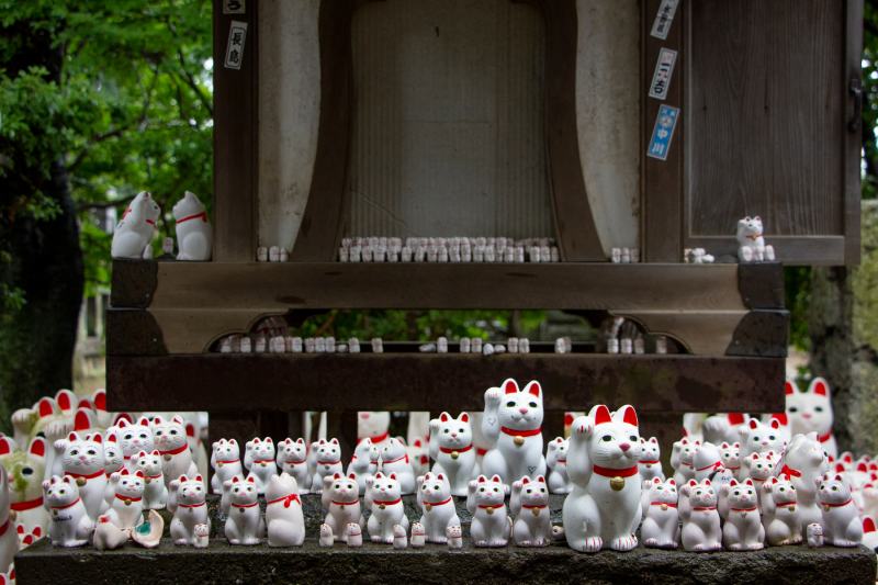 Maneki-Neko hay mèo tiền Nhật Bản tại Đền Gotokuji