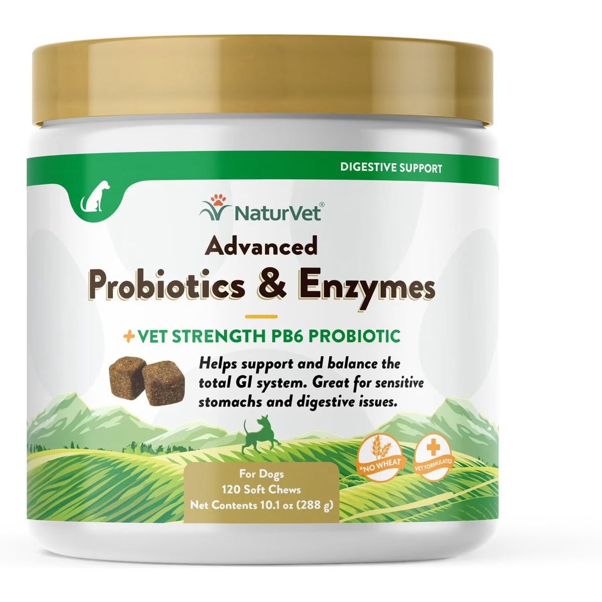 8 Best Probiotics for Dogs 2024 Reviews & Top Picks Hepper