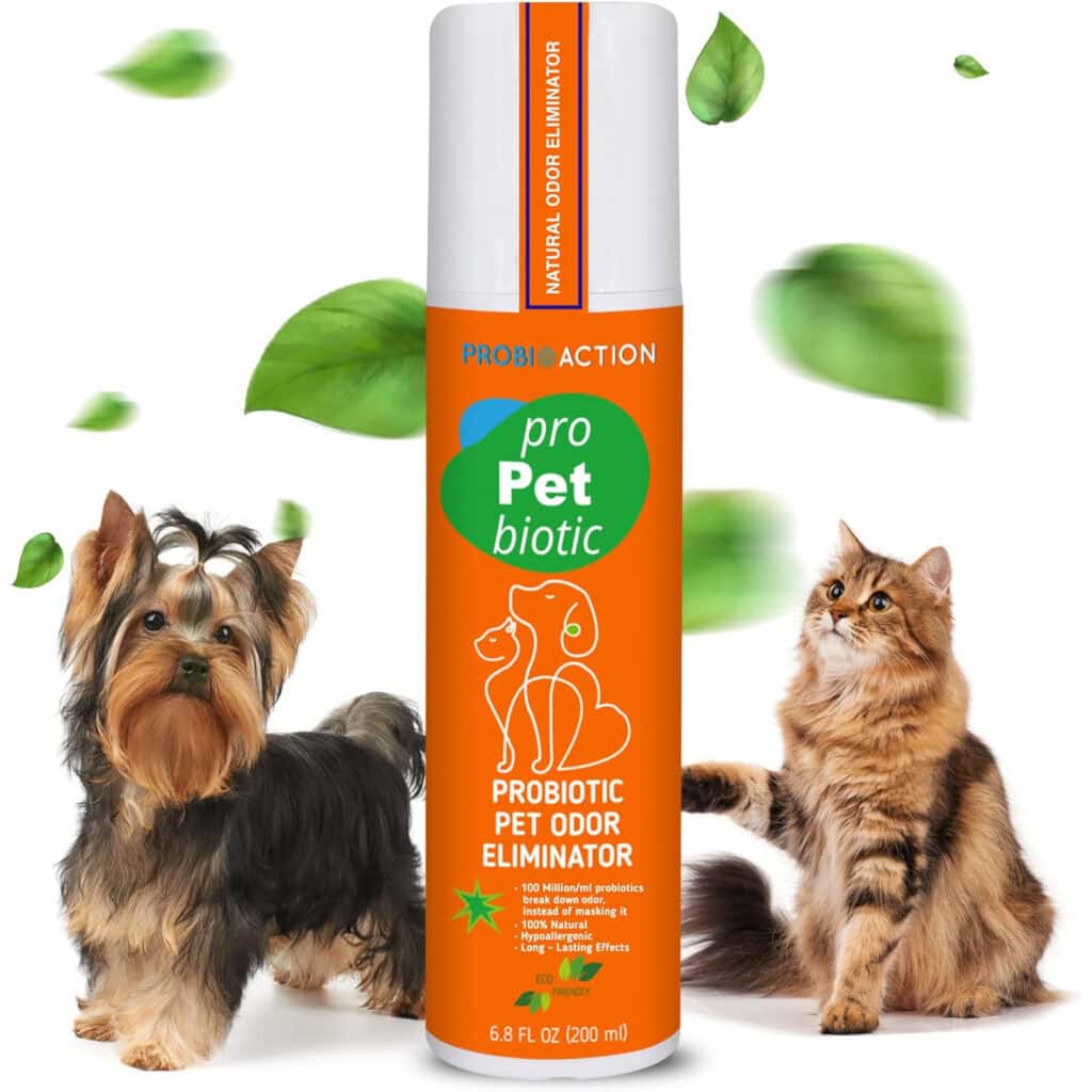 9 Best Air Fresheners for Cat Litter Rooms 2024 Reviews & Top Picks Hepper