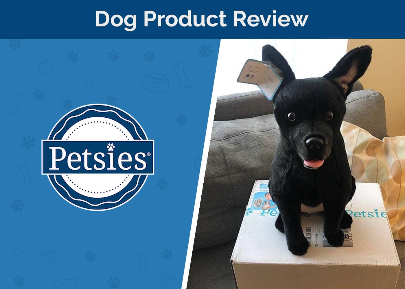 Petsies Product Review