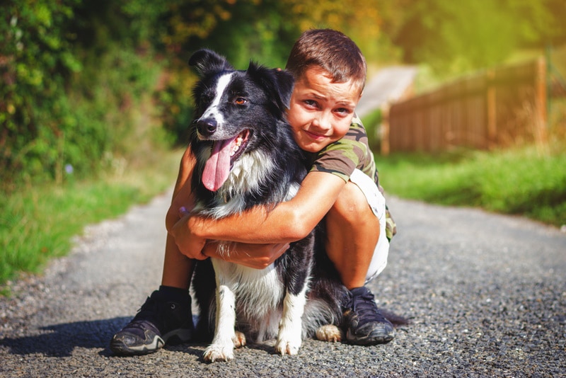 Young boy hugging a border collie