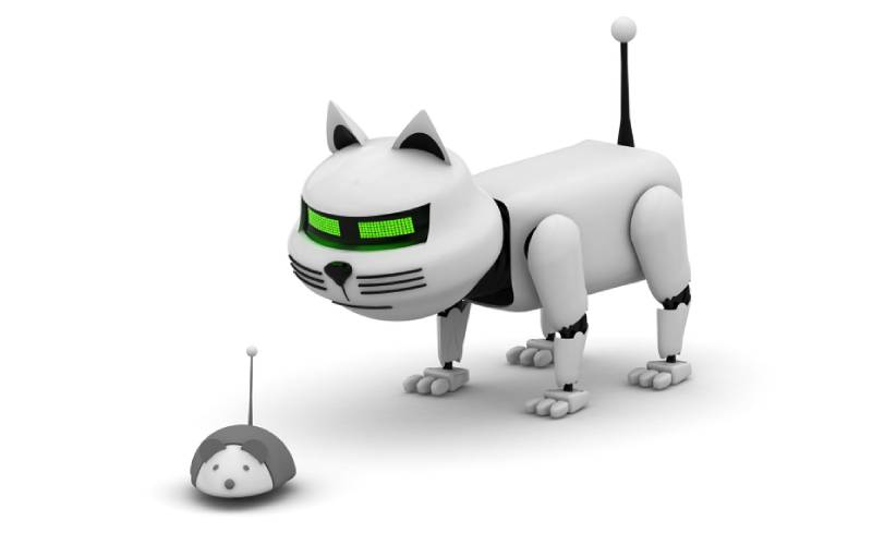 một con mèo và chuột robot trên nền trắng