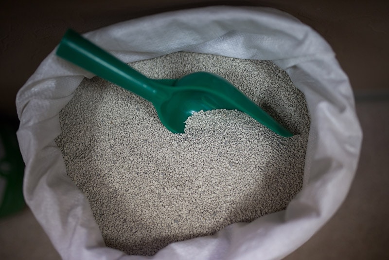 a scoop in a sack of cat litter