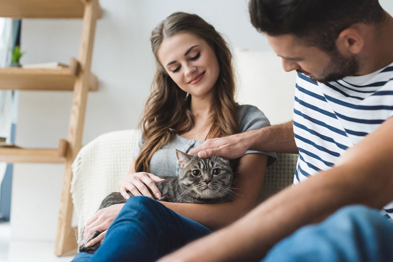 a young couple petting their cat at home