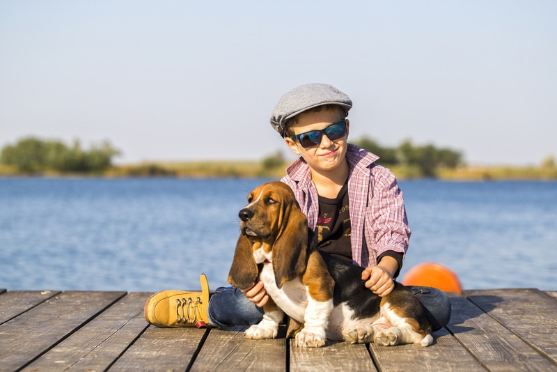 besset hound sitting with young boy