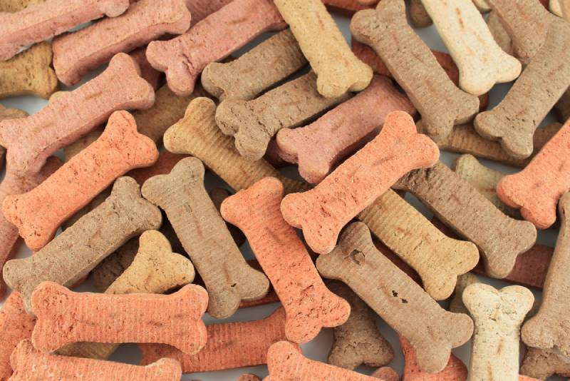 bone-shaped dog biscuits