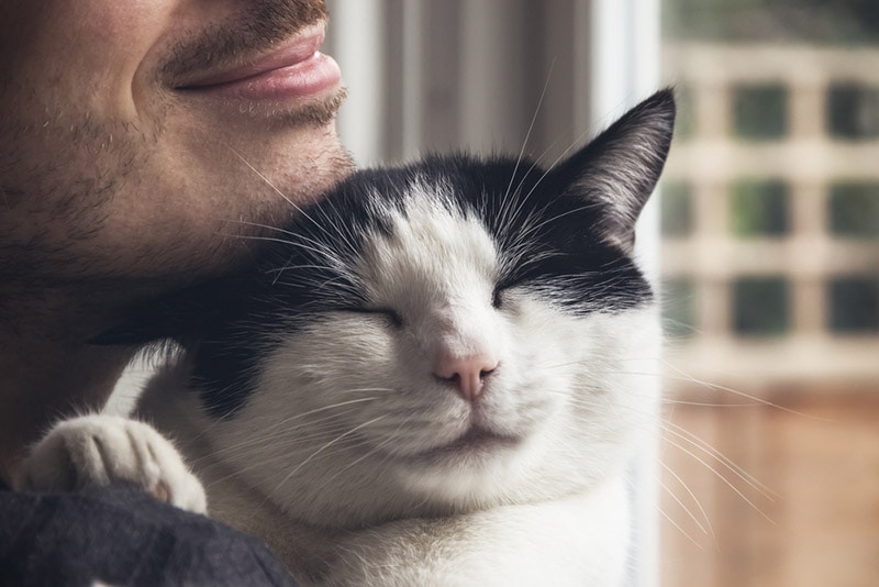 A cat cuddled by a bearded man