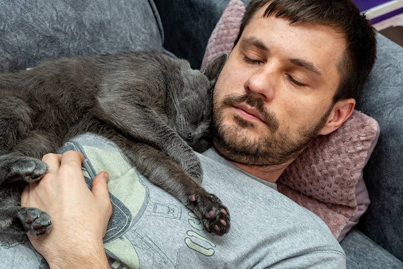 cat sleeping a bearded man