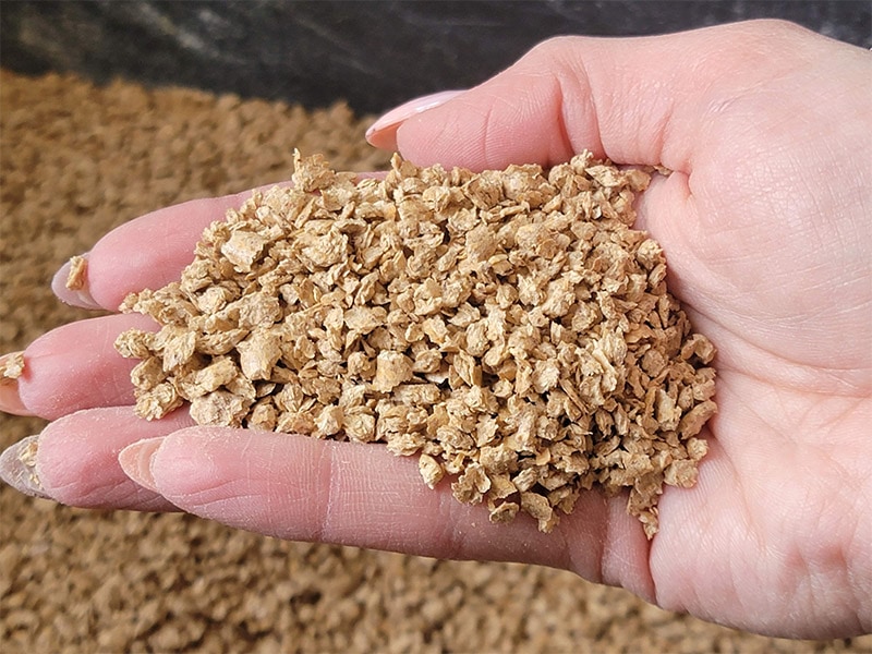 ökocat® Original Premium Clumping Wood Cat Litter Review 2024 An