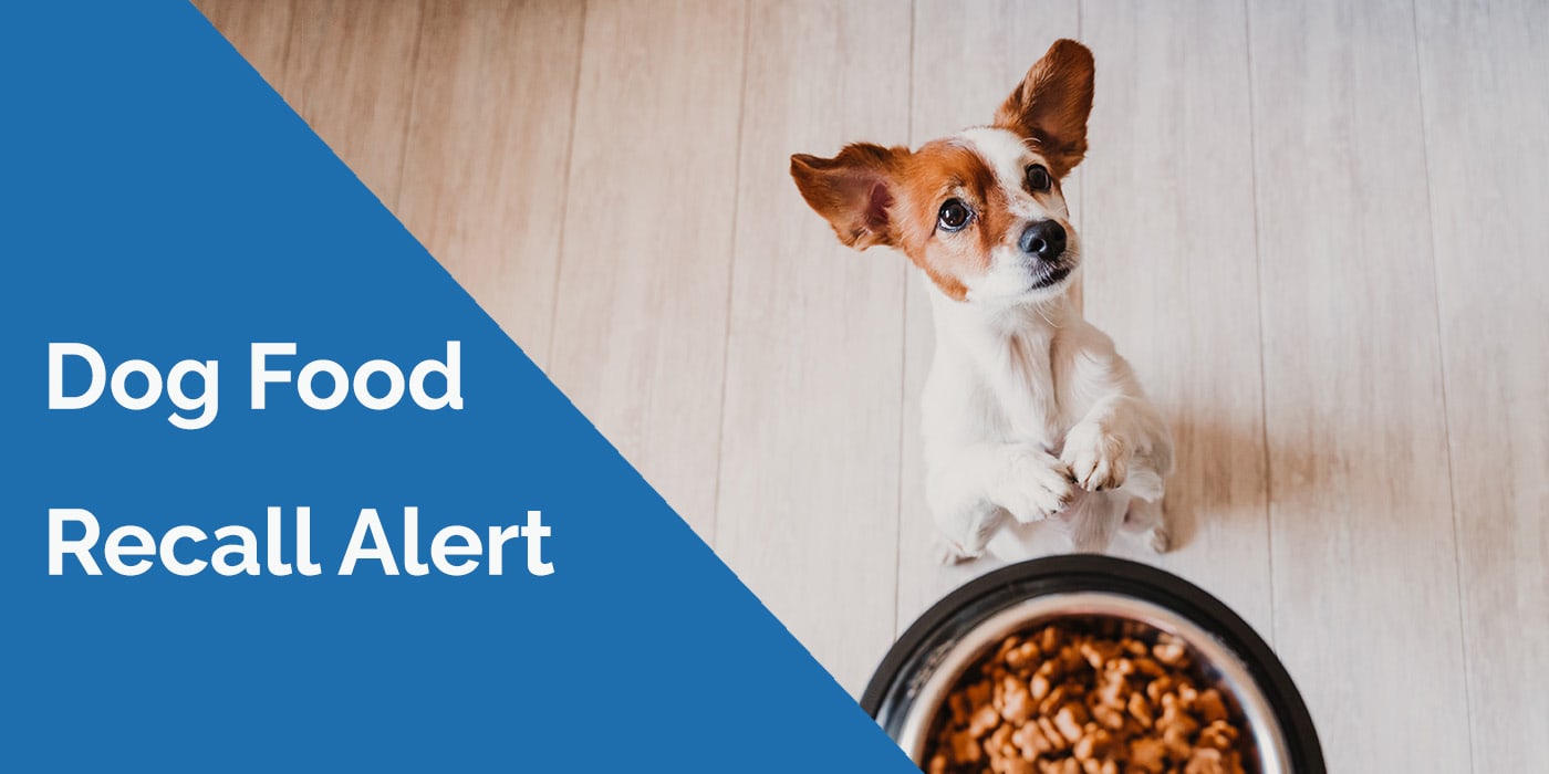 dog food recall alert