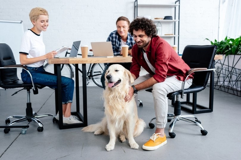 employees with pet dog in an office