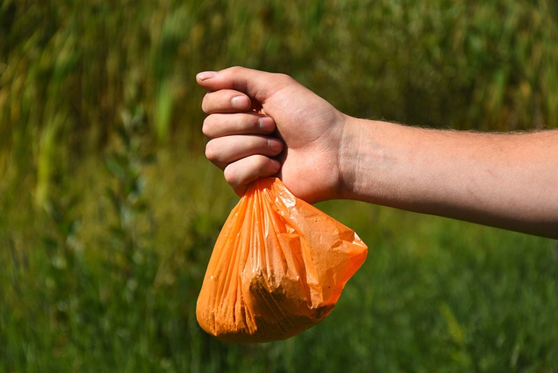 hand holding a plastic bag full of dog poop