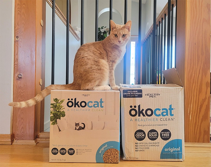 ökocat® Original Premium Premium Clumping Wood Litter Review 2023 Ý