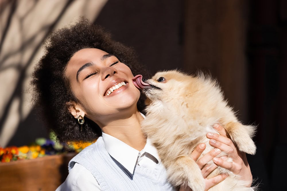 pomeranian licking woman's face