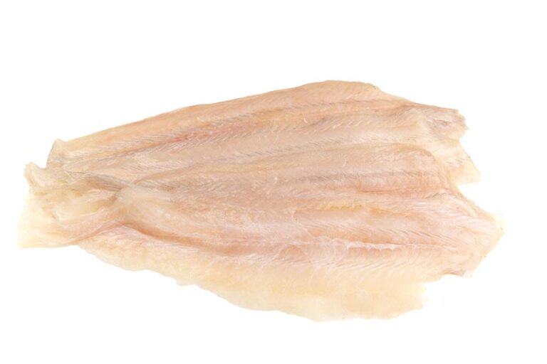 Can Dogs Eat Flounder? Vet Reviewed Facts & FAQ Hepper