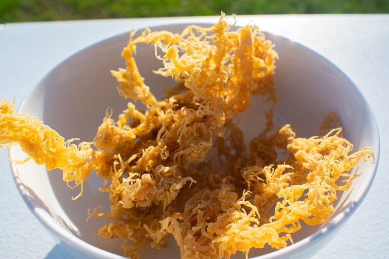rêu biển trên bát
