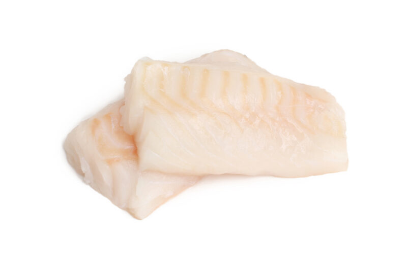 fish on white background