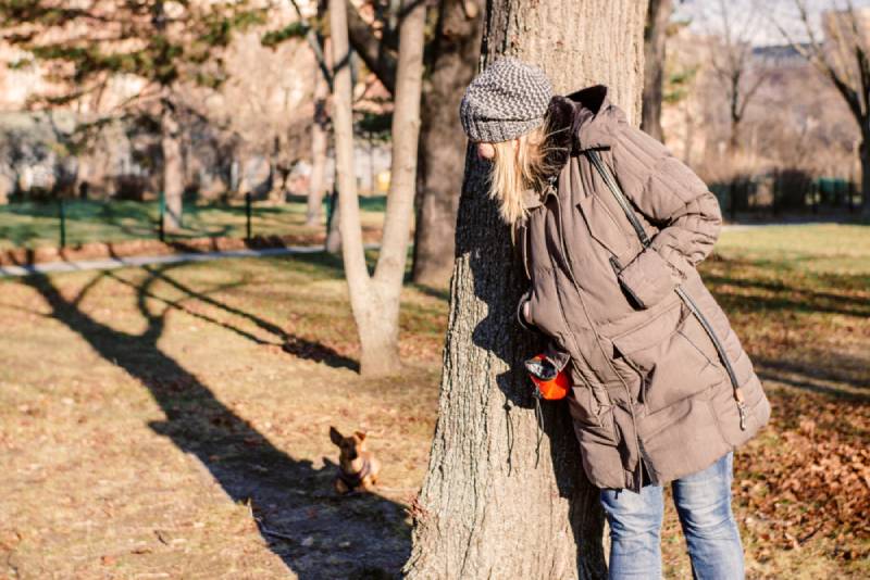 woman palying hide and seek with her dog in the woods