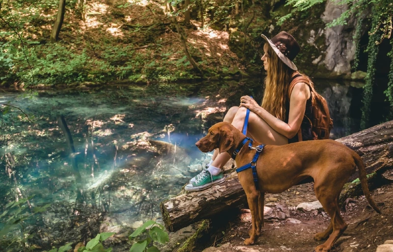 woman taking her Vizsla dog for a hike or walk