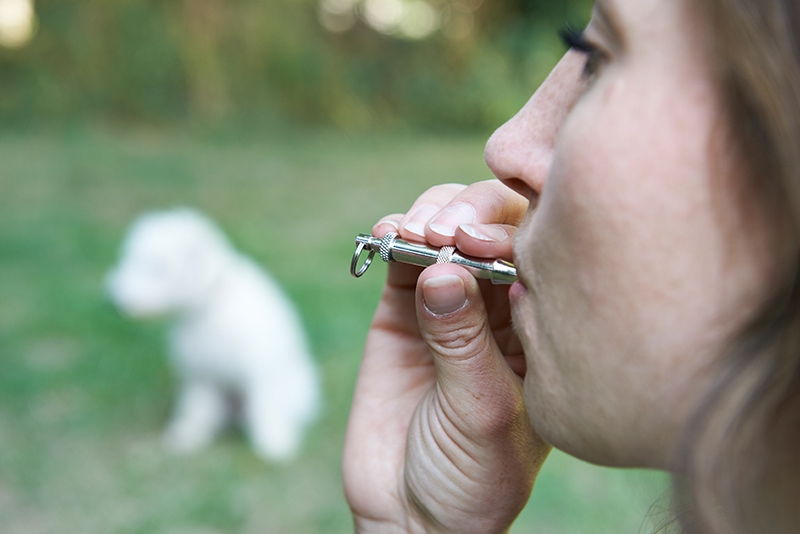 woman using dog whistle